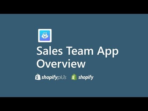 Sales Team App -Overview- 2025