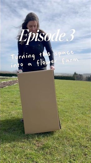 Turning this space into a flower farm - Episode 3 #flowerfarmer