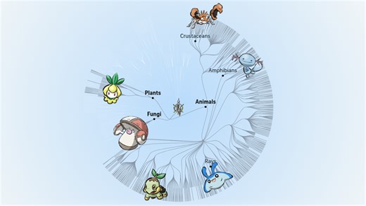How we built a Pokemon tree of life and book of records
