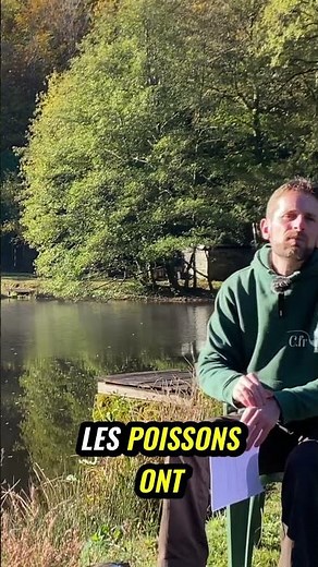 Happy fish, perfect pond: the secret to stress-free fishing #shorts