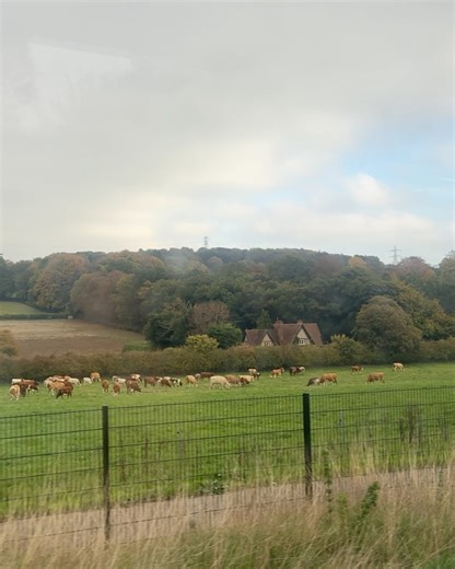 Ruby Granger 🍂 on Instagram