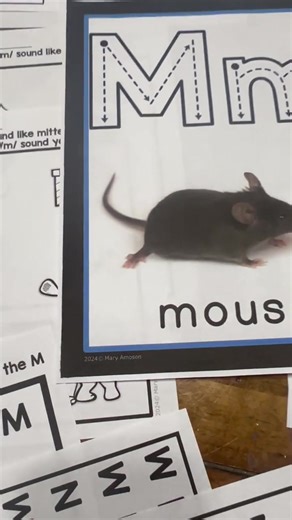 🐭 Make learning Letter Mm meaningful and fun! 🅜✨ This Letter Mm Activities pack is perfect for Kindergarten and aligns with Orton-Gillingham, HMH, and structured literacy approaches to build strong phonics foundations. 📚 Includes hands-on printables 🧠 Supports multi-sensory learning 🎯 Great for centers, small groups, or whole group instruction Teach with purpose and watch your students master the letter Mm with confidence! 🔤💪 🛒 Grab it here: 👉 https://www.teacherspayteachers.com/Product
