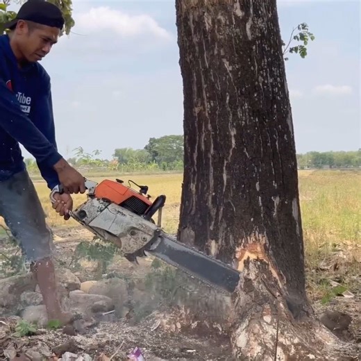 97K views · 713 reactions | The best skill man cutting down tree whi,ch stand on cover the ro,ad | Rifky Olshop | Facebook