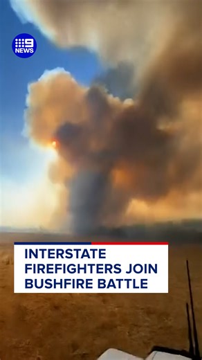 Interstate firefighters have landed in South Australia to join forces with CFS volunteers in their battle to contain the bushfire ravaging the Fleurieu Peninsula since Sunday. #9News | 9 News Adelaide