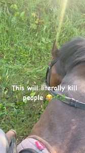 177K views · 4.7K reactions | This may be worse than bringing up Tumeric, kissing spine, ulcers or draw reins  | Olivia Renshaw | Facebook