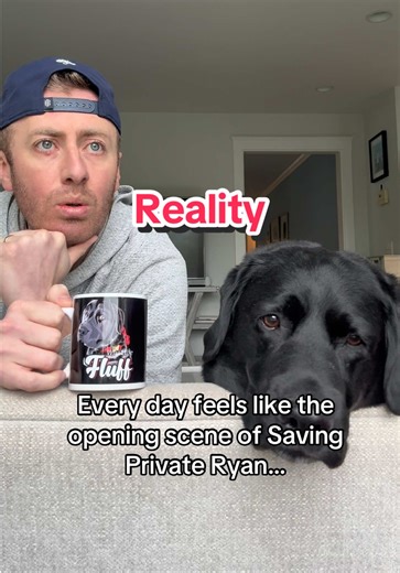 Don’t believe everything you see on social media… #dogsoftiktok #funnydog #fyp