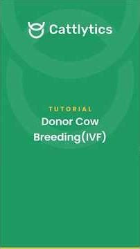 Breeding via Donor Cow (IVF)