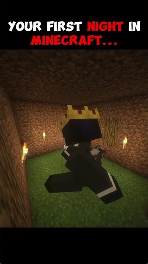 POV: Your First Night in Minecraft #minecraft