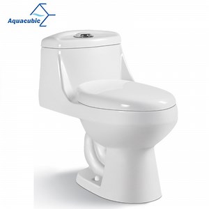 [Hot Item] Aquacubic Water Saving Cupc Watersense Certified Floor Mounted One Elongated One Piece Ceramic Toliet Wc Toilet