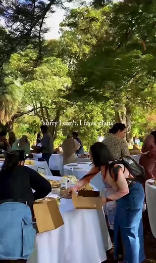 Cape Town Cake Picnic: Sweet Plans for October 25