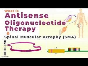 What is Antisense Oligonucleotide Therapy & Treatment of Spinal Muscular Atrophy (SMA)