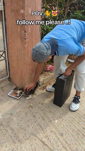 I met a beautiful little kitten.😍 #Street_Cats #StrayCatRescue #StreetCats #cats #alleycats