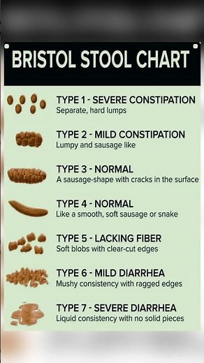 What Your Stool Type Reveals | Bristol Stool Chart Explained