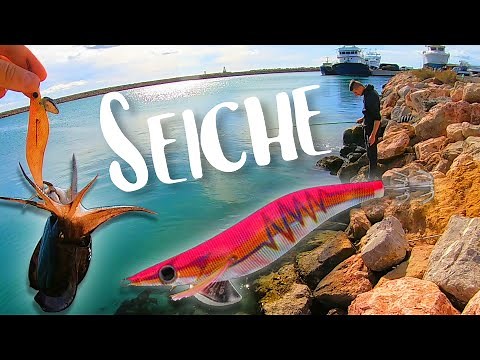Pêche de la Seiche du Bord à la Turlutte 🦑 EGING