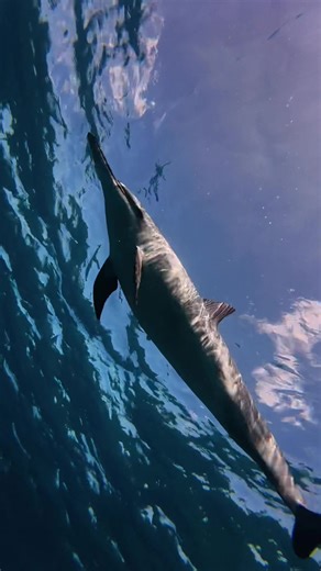 Explore with Jess on TikTok