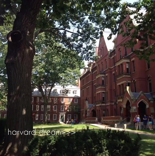 Harvard University Dream: Student Life and Dreams