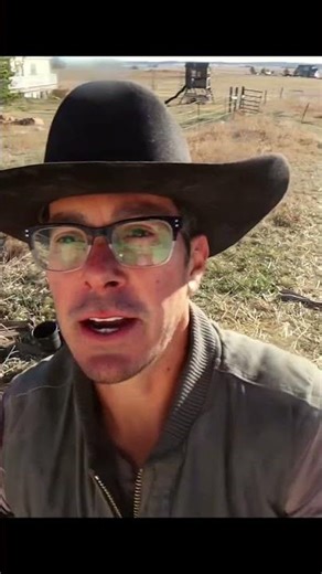 Training Our Pigs on Electric Fence (Before Pasture)