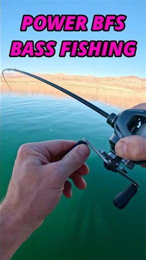 Power BFS BASS Fishing #fishing #bassfishing #baitcasting #bfsfishing #finessefishing