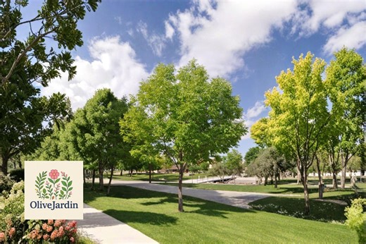 30 Arizona Ash Tree Seeds – Fraxinus Velutina Shade Tree – Native Perennial Tree - Etsy