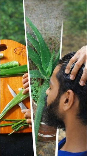 Natural Aloe Vera Hair Gel for Men | Strong, Shiny Hair at Home
