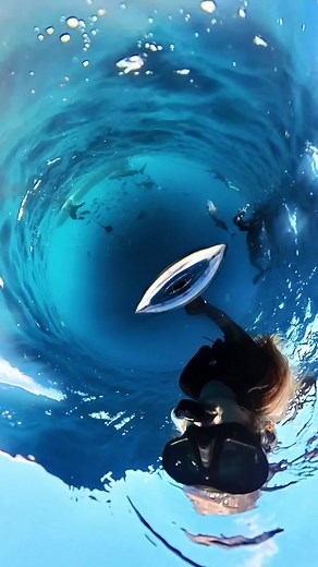 Close Encounter with a Bull Shark: Insane Moment Caught on Camera