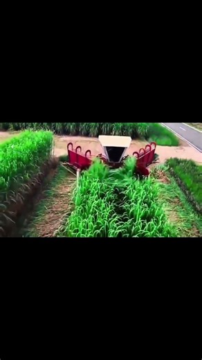 Can You Guess? 4 Unique Machines and How They Actually Work