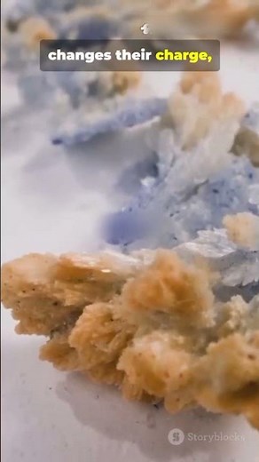 Why Salt Tastes Salty — The Science Explained #TasteScience #YouTubeShorts #QuickFacts #Neuroscience
