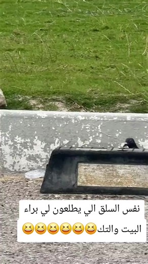 فيديوهات أنشأها ☆s.a.r.o.r.o.n.a☆ (@s.a.r.o.r.o.n.a.1995) باستخدام الصوت الأصلي - ☆s.a.r.o.r.o.n.a☆