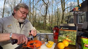 26K views · 403 reactions | Will Orioles come to my backyard? Here are some tips to help you attract them! | Wild Birds Unlimited | Facebook