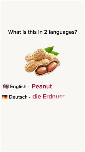 ​Nuts in 2 Languages: English and Deutsch 🌍 #shorts #english #deutsch #learnlanguages