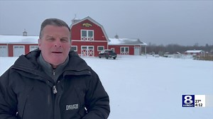 WATCH: Today John Kucko and his camera sought out a vibrant red cardinal to catch the bird at its peak brilliance, just ahead of the spring mating season. | News 8 WROC Rochester