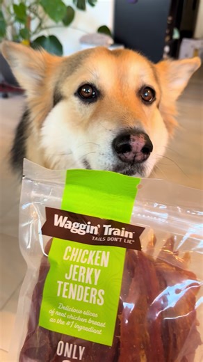 Treats for chicken lovers #chickenfordogs #dogtreats #dogsnack #dogtraining #doglifestyle