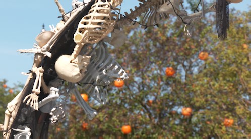 Welcome to Halloween, USA: Conway ready for jam-packed month of events