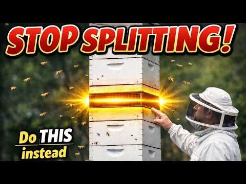 This Beekeeping Trick Doubles Honey Yield (No Splits Needed)