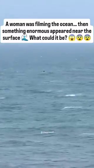 On April 6th, a woman named Cintya was relaxing on vacation near Myrtle Beach... when she noticed something strange in the ocean-and decided to record it.In the footage, a long, huge shape can be seen moving through the water... and it doesn't look like any normal sea creature.People online are already calling it a modern-day sea monster sighting.Could it just be waves playing tricks on the eyes... or did she actually capture something unknown-maybe even a real-life sea serpent?What do you think