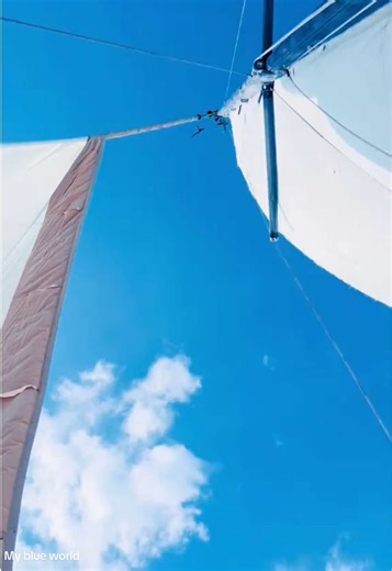 Bread & Circus on TikTok