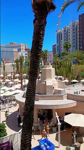 THE NEWLY RENOVATED POOL AT THE FLAMINGO HOTEL/CASINO, LAS VEGAS STRIP. May 2025. #lonewulfrick2025