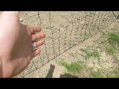 Keeping deer, rabbits and rodents out of the garden! Premier 1 VersaNet portable electric fence.