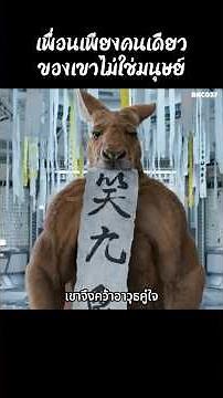 เพื่อนเพียงคนเดียวของเขาไม่ใช่มนุษย์ #shorts #สปอยหนัง #รีวิวหนัง #หนังสนุก #หนัง