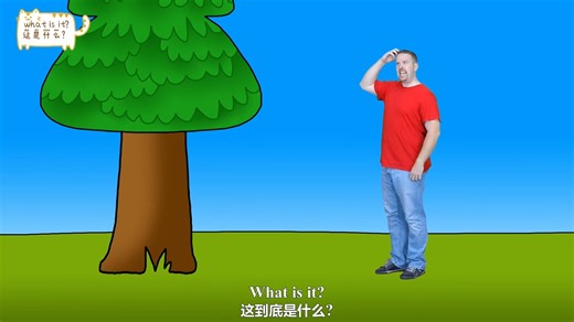 5-what is it-这是什么-下