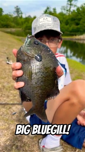 We went fishing and caught a giant Bluegill! #fishing #bluegill #bluegigi #bassfishing
