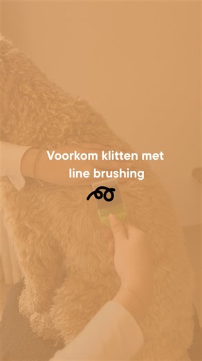 Doodle.Essentials.nl on Instagram: "Een klitvrije vacht begint bij de juiste borsteltechniek. Zo borstel je jouw doodle klitvrij met line brushing 🐶 #doodleessentials #doodles #labradoodles #linebrushing #vachtverzorging"