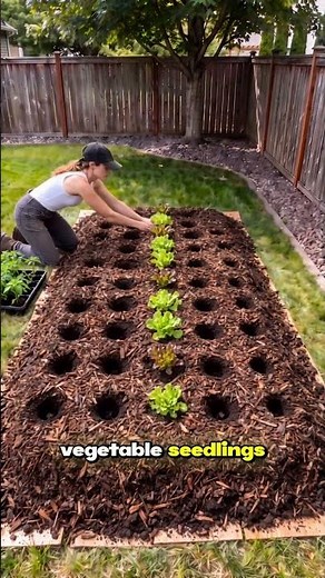 How to Build a No-Dig Lasagna Garden That Grows Everything! 🥬