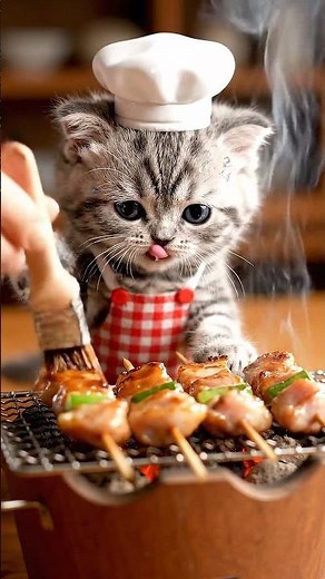 #16 可愛い子猫が汗を垂らしながろ一生懸命焼き鳥を焼いてる #cat #cute #funny #aishorts #kitten #pets #baby
