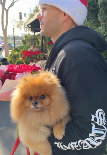 Express Gratitude with Beautiful Flowers