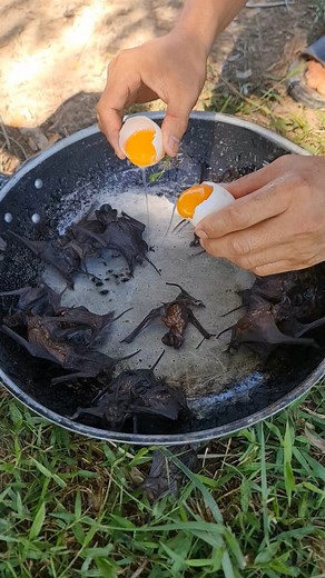 Amazing cooking 2025 #food #cooking #eating | Wilderness Food