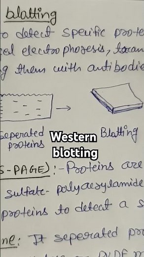 #western #blotting #biotechnology #immuno #blotting