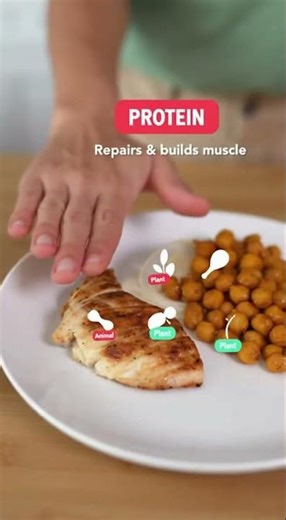 Confused about carbs, fats and protein? Let’s break it down #carbs #calories #highproteindiet