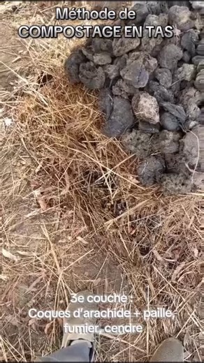 1.3K reactions · 81 shares | Comment Monter un Tas de Compost Efficace (Étape par Étape) #agriculture #agroecologie #fertilité #fertilisation #compost #compostage #biofertilisants #agricultureecologique #agrobio | Omar Sakho | Facebook