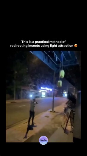 This is a practical method of redirecting insects using light attraction 😍